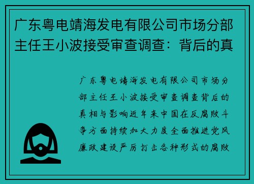 广东粤电靖海发电有限公司市场分部主任王小波接受审查调查：背后的真相与影响