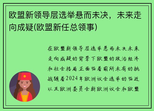 欧盟新领导层选举悬而未决，未来走向成疑(欧盟新任总领事)