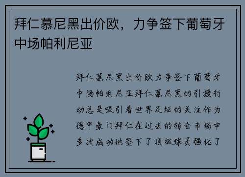 拜仁慕尼黑出价欧，力争签下葡萄牙中场帕利尼亚