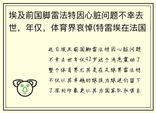埃及前国脚雷法特因心脏问题不幸去世，年仅，体育界哀悼(特雷埃在法国什么位置)