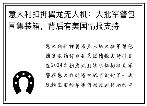 意大利扣押翼龙无人机：大批军警包围集装箱，背后有美国情报支持